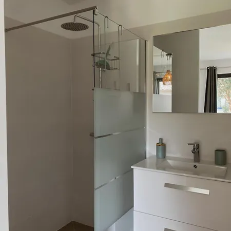 Maison 6 Personnes Avec Piscine Et Grand Jardin * Zonza