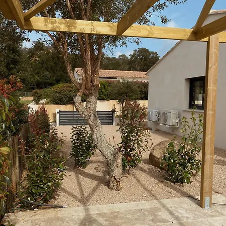 Maison 6 Personnes Avec Piscine Et Grand Jardin * Zonza